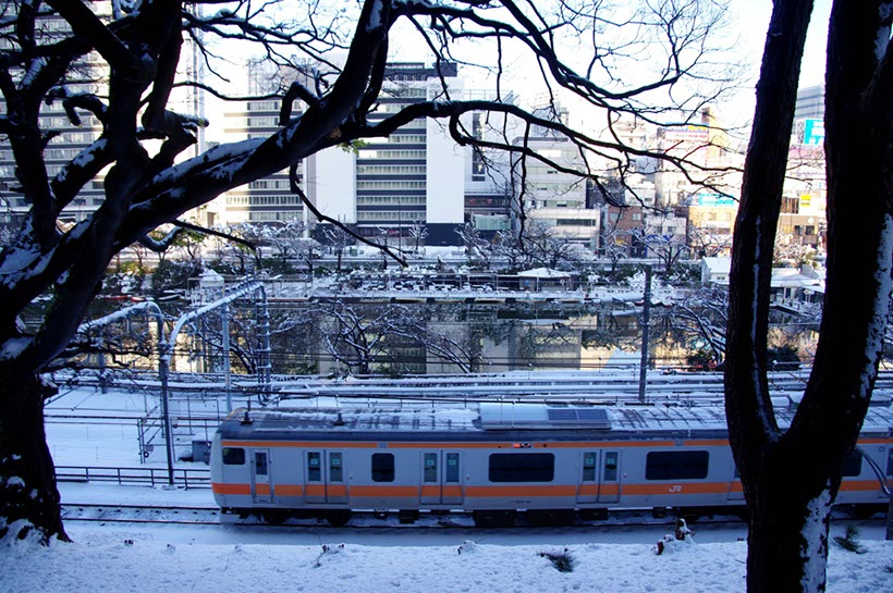 雪の東京