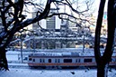 雪の東京