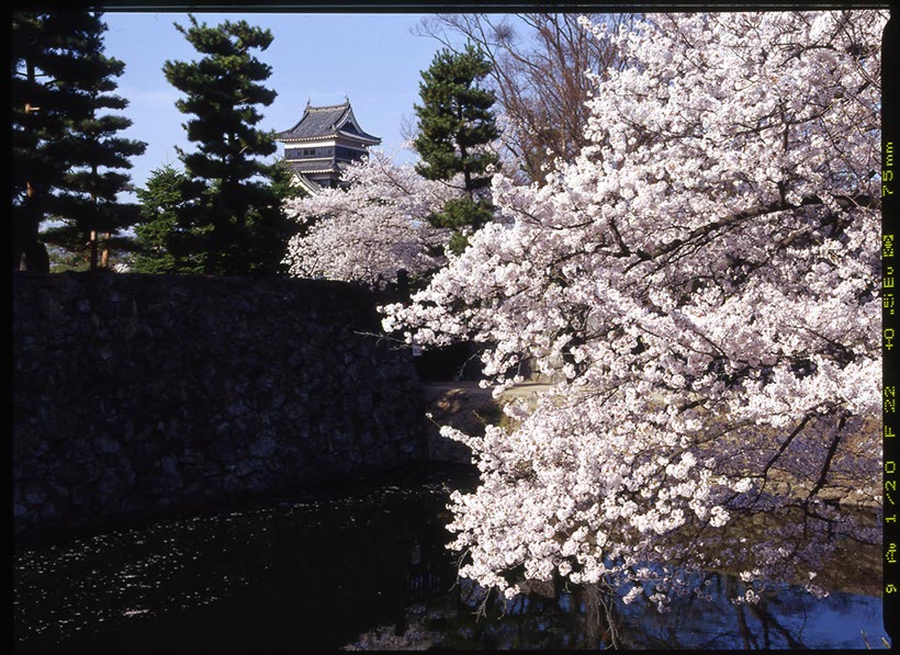 松本城遠景(長野県)