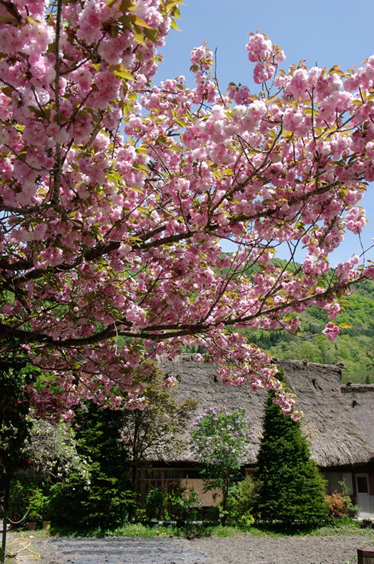 白川郷(岐阜県)