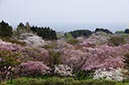 松前公園