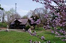 紅葉山神社
