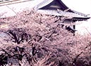 金沢城(石川県)