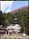酒呑童子神社(新潟県)