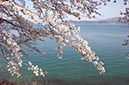 若狭湾2(福井県)