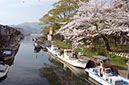 匂いヶ崎(福井県)