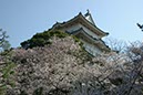 小田原城(神奈川県)