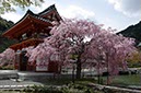 勝尾寺山門(大阪府)