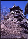 熊本城
