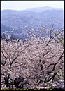 立山公園(長崎県)