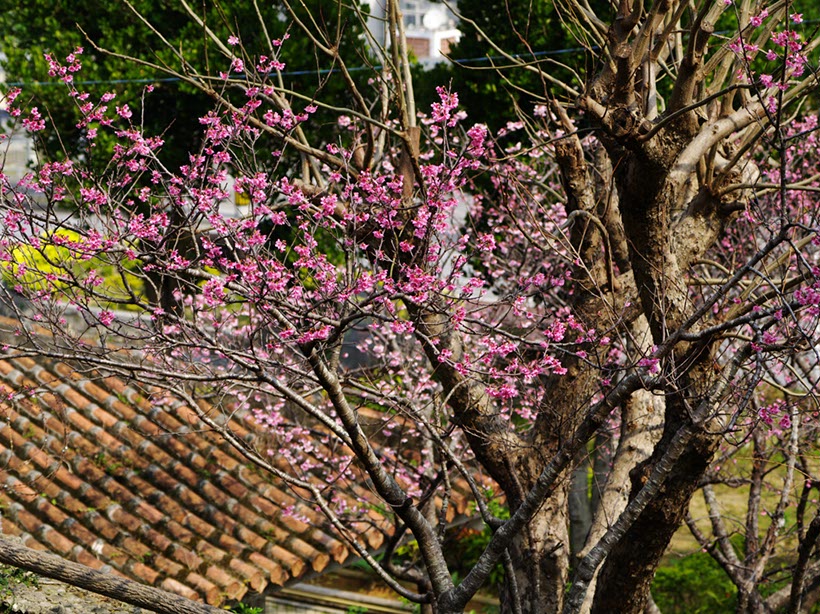 伊祖公園(浦添市)