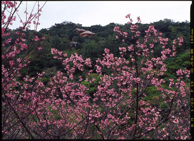 末吉公園