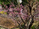 伊祖公園(浦添市)