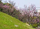 那覇新都心の公園にて