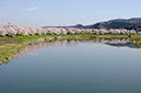 白石川堤2(宮城県)