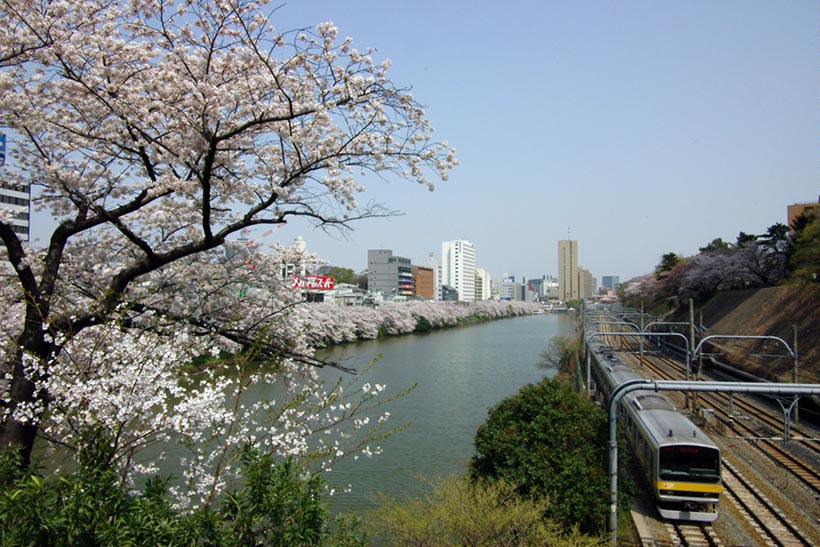 外堀と中央線