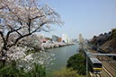 外堀と中央線