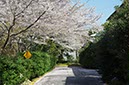 英国大使館