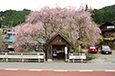 秋川渓谷 数馬バス停