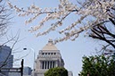 国会議事堂