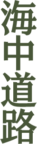 �C�����H